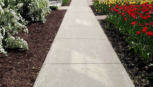 Cost of Cement Sidewalk Installation in Milton